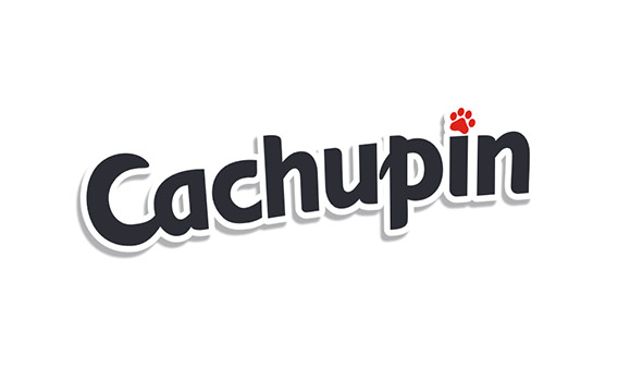 logo cachupin
